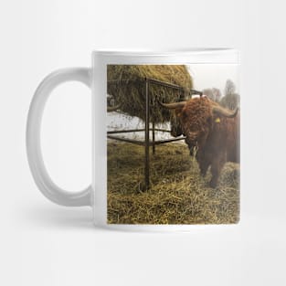 Scottish Highland Cattle Bull 2163 Mug